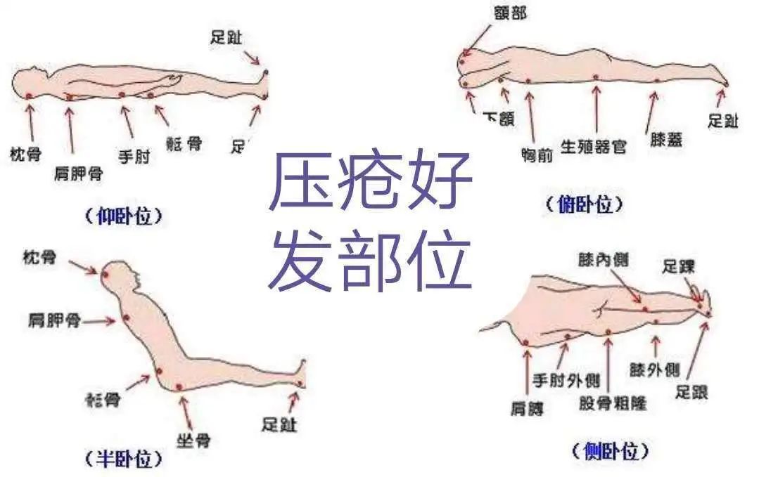 龙8-long8(国际)唯一官方网站